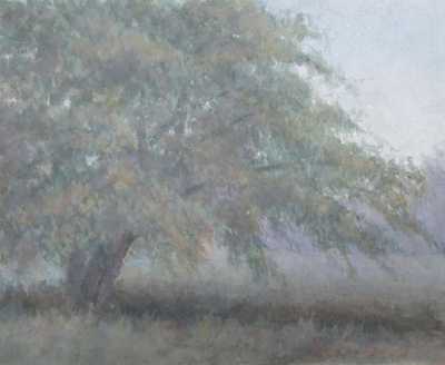 	Apple Tree - Jane Ashley