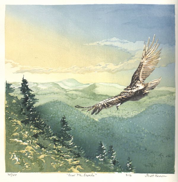 Over Mt. Osceola