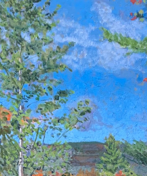 Hover.NJ.Fall Birches