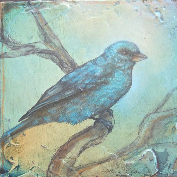 Indigo Bunting