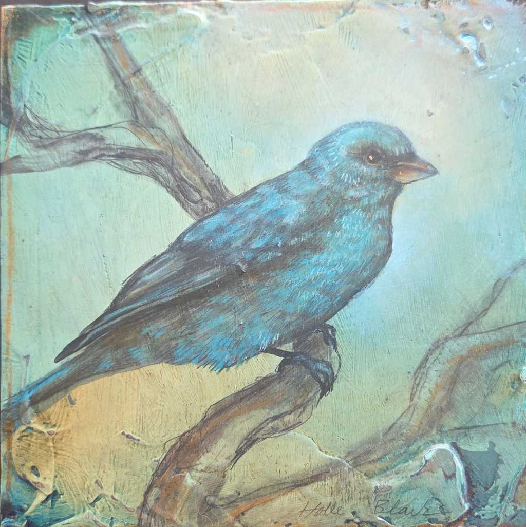 Indigo Bunting