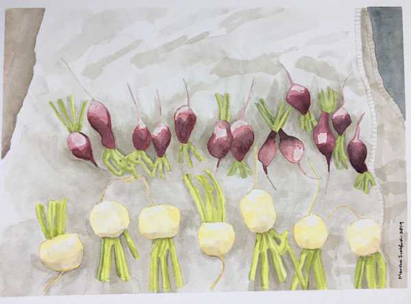 Radishes and Turnips, Martha Scotford