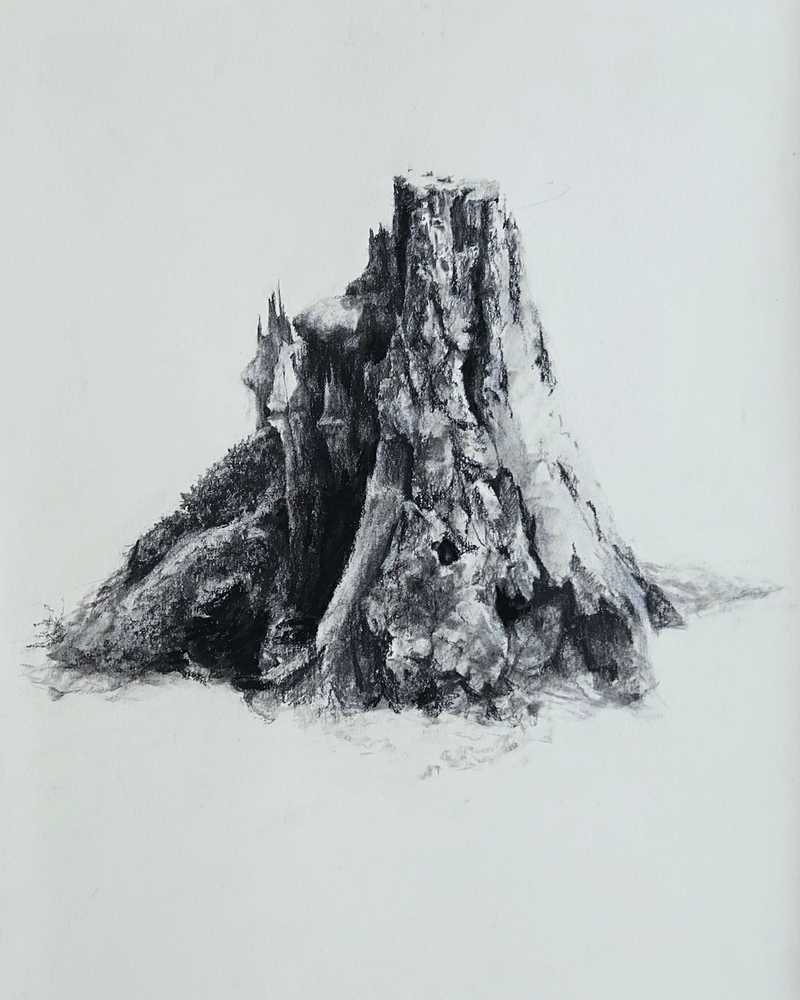 Stump on Washburn Hill - Jenny Sparks