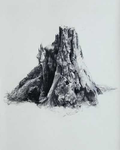 Stump on Washburn Hill - Jenny Sparks