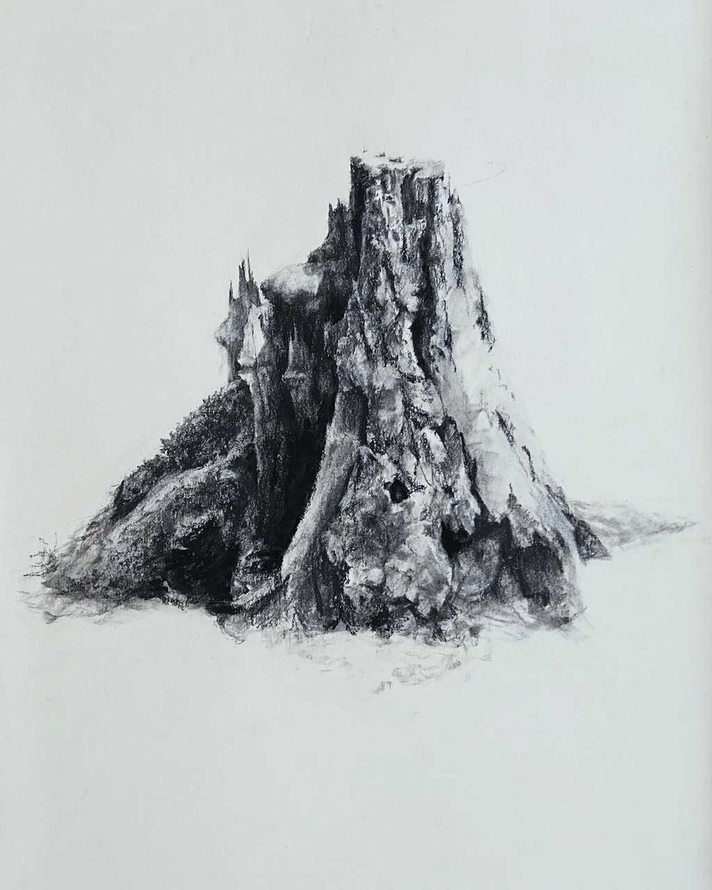 Stump on Washburn Hill - Jenny Sparks