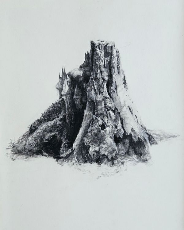 Stump on Washburn Hill - Jenny Sparks