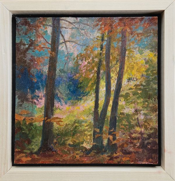 Forgotten Glade - Matthew Greenway