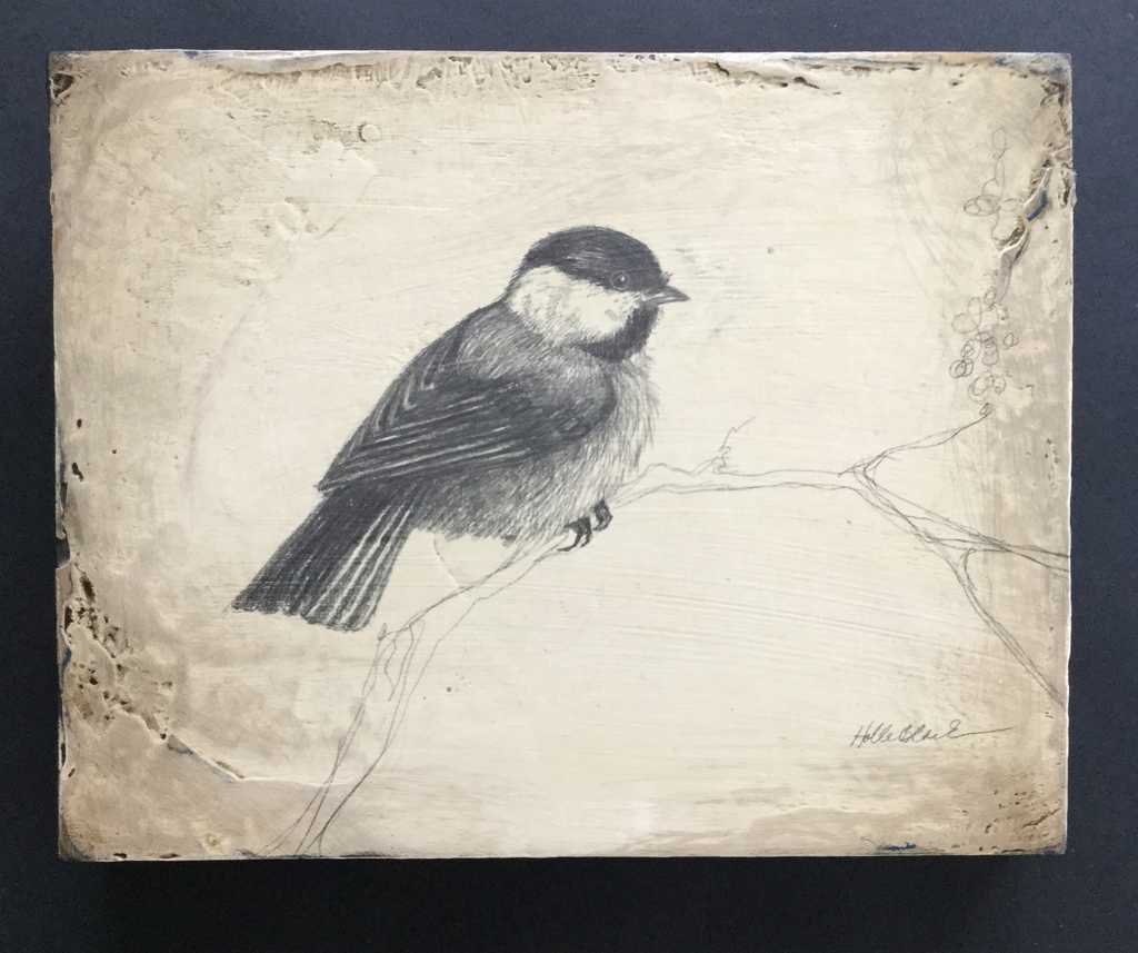 Chickadee
