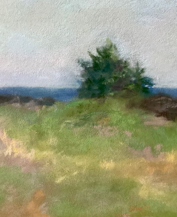 Morning in Maine