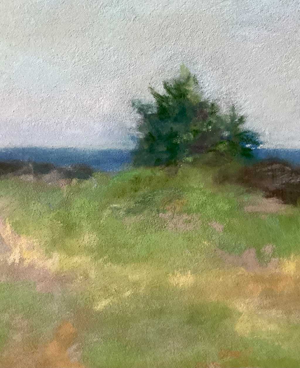Morning in Maine