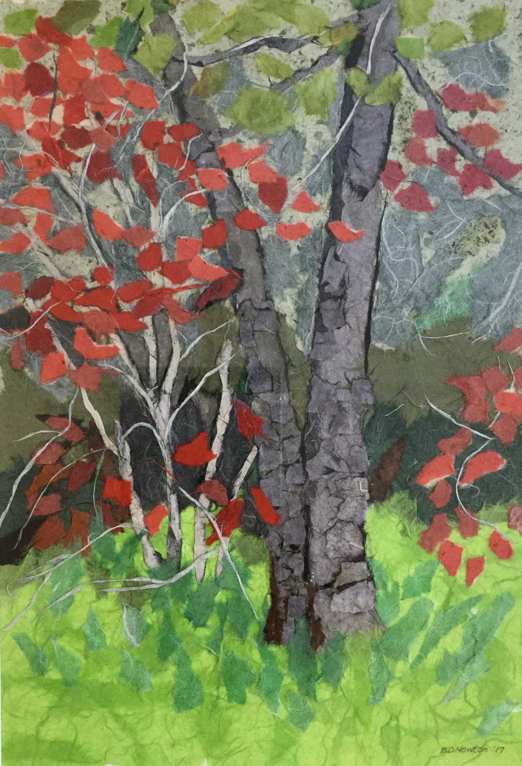 Cape Cod Series: Scrub Pine