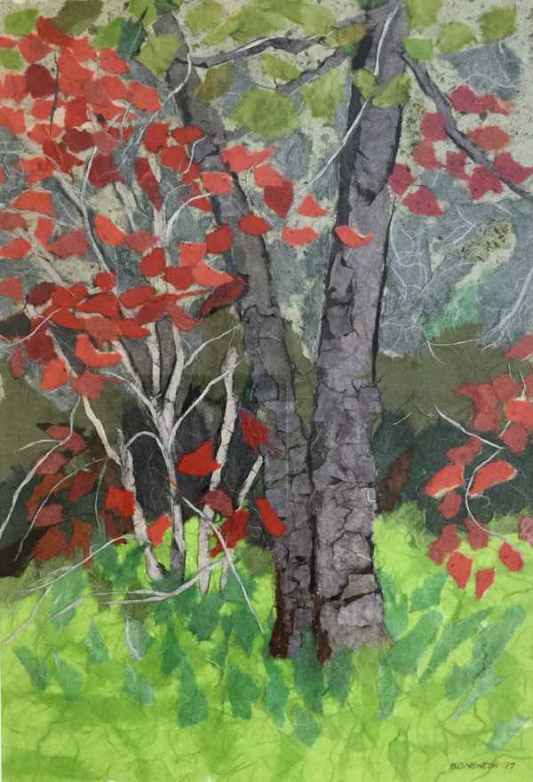 Cape Cod Series: Scrub Pine