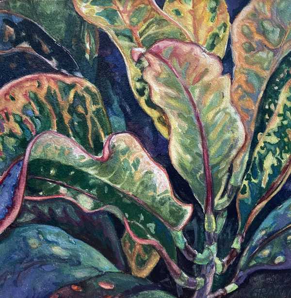 Croton by Ellen Grant