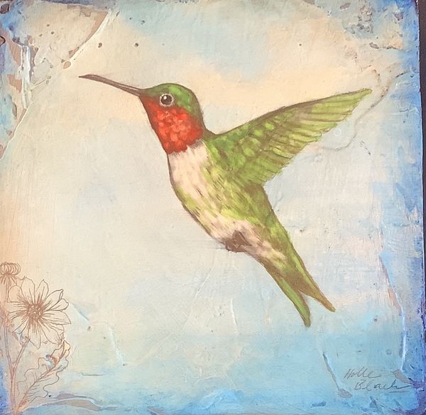 Hummingbird