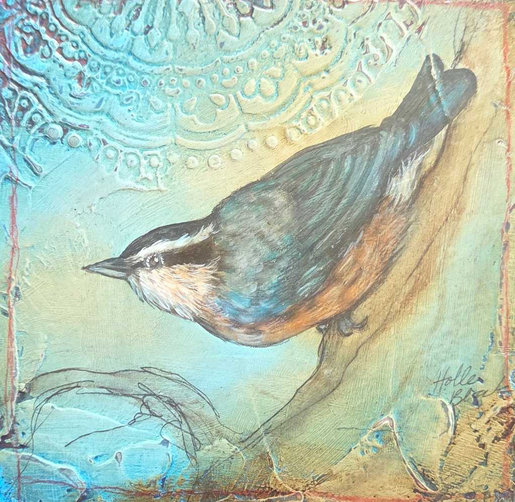 Red Breasted Nuthatch