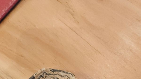 Tiny Saucers, unfooted (tea bag receptacles)