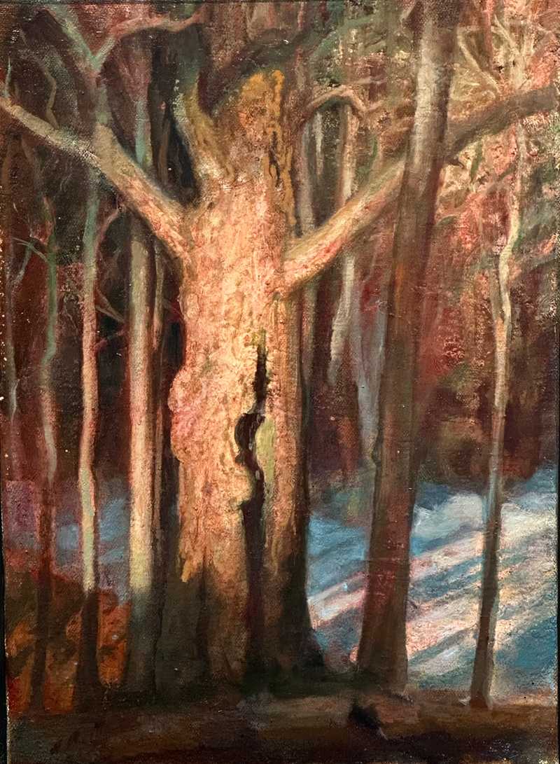 The Old Maple - Matthew Greenway