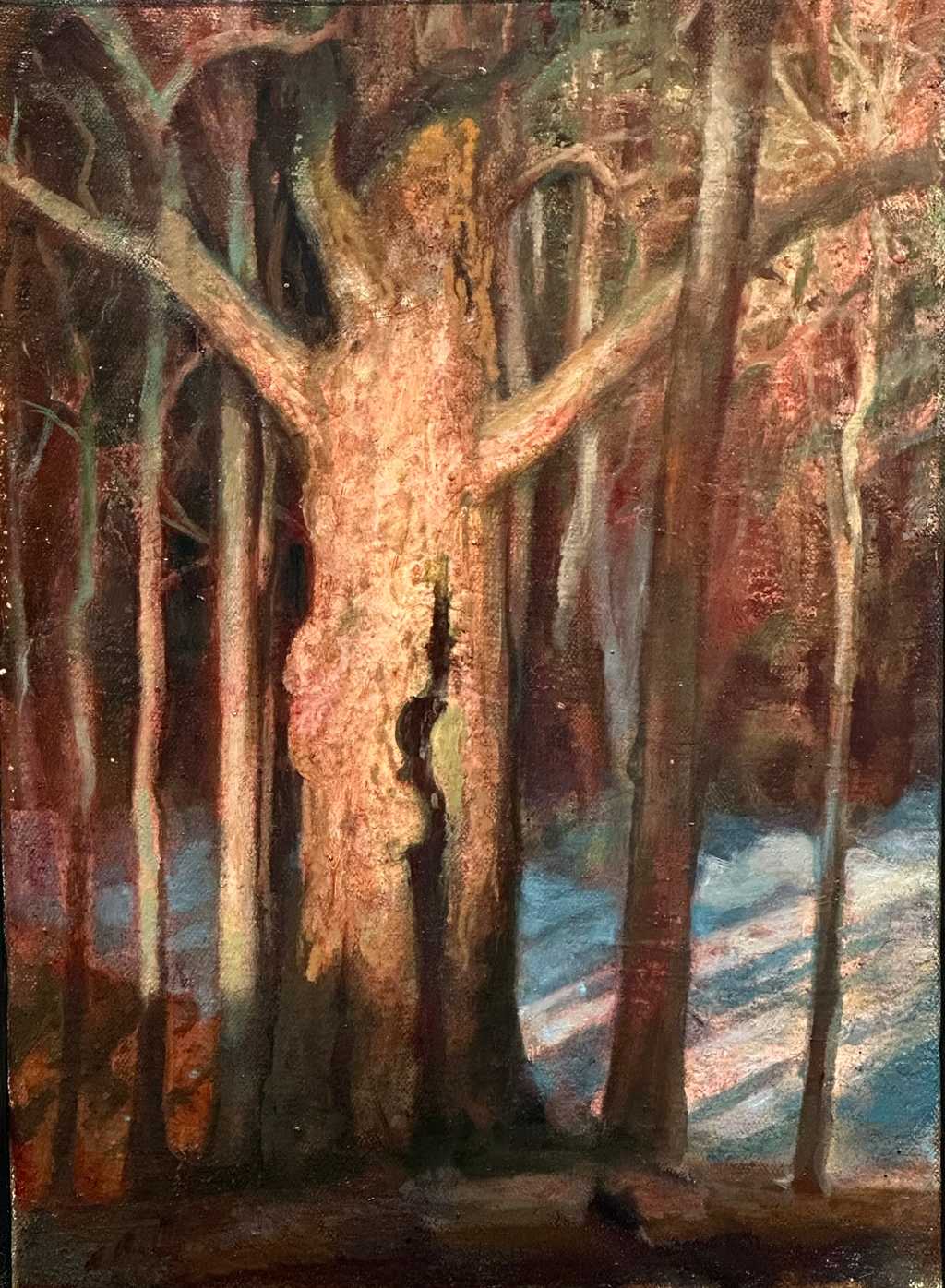 The Old Maple - Matthew Greenway