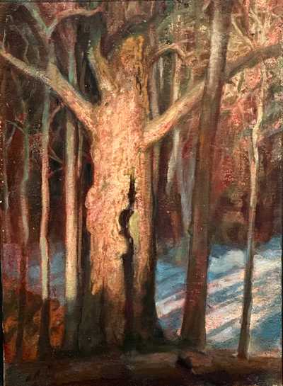 The Old Maple - Matthew Greenway