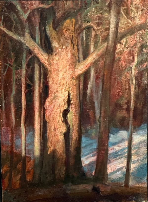 The Old Maple - Matthew Greenway