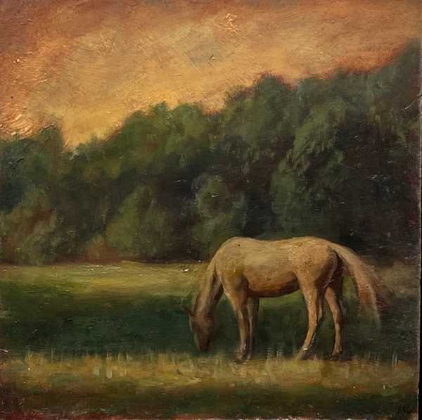 Horse at Sundown