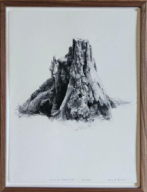 Stump on Washburn Hill - Jenny Sparks