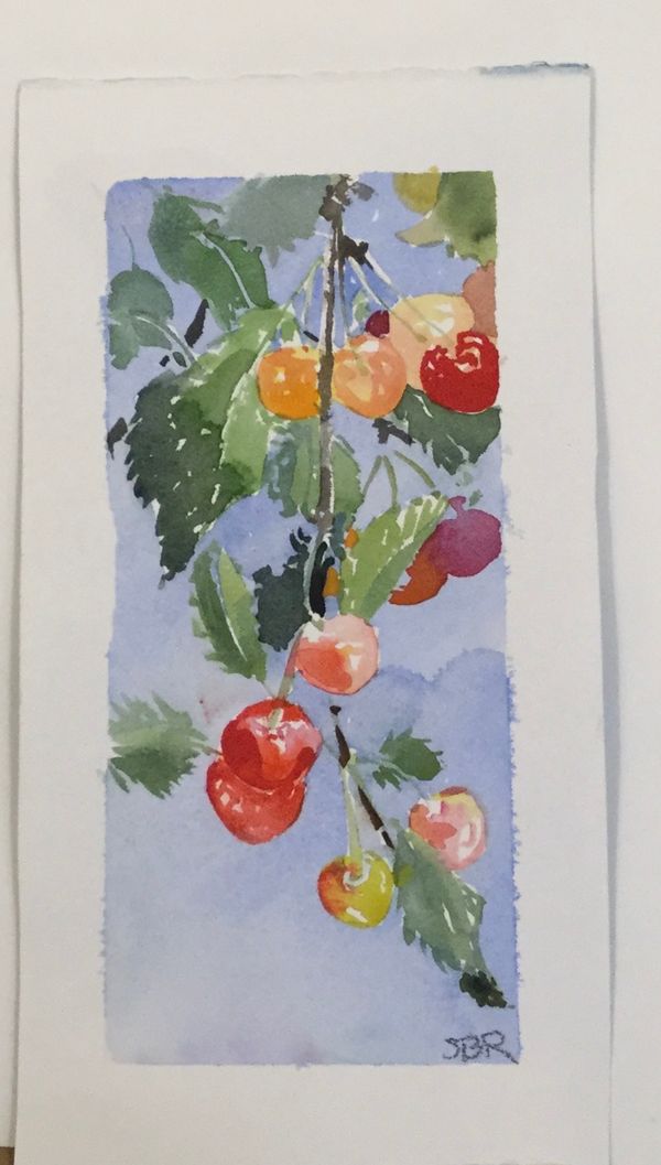 Cherries