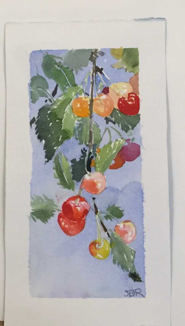 Cherries
