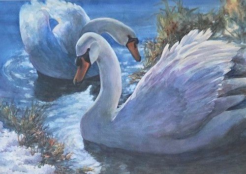 Spring Swans by Lynn Zimmerman