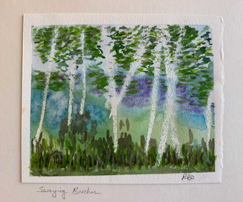 Swaying Birches by Robin Osborne