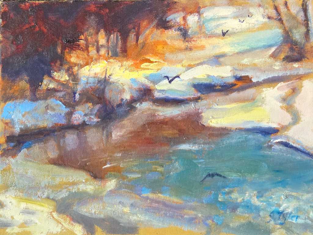 Birds Over Grant Brook