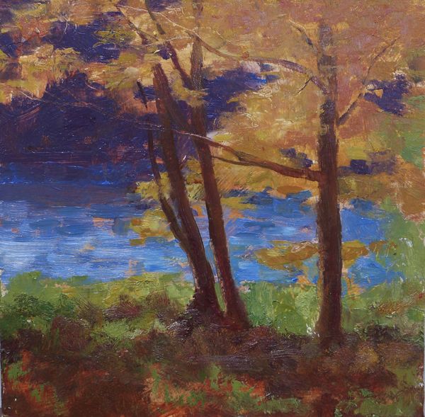 Down by the Pond