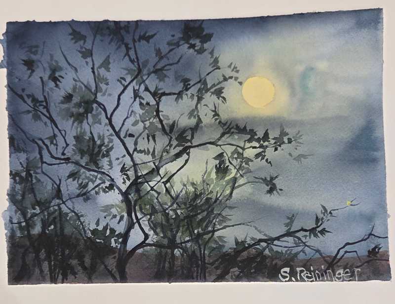 Moonlight Over Mesquite - Stephanie Reininger