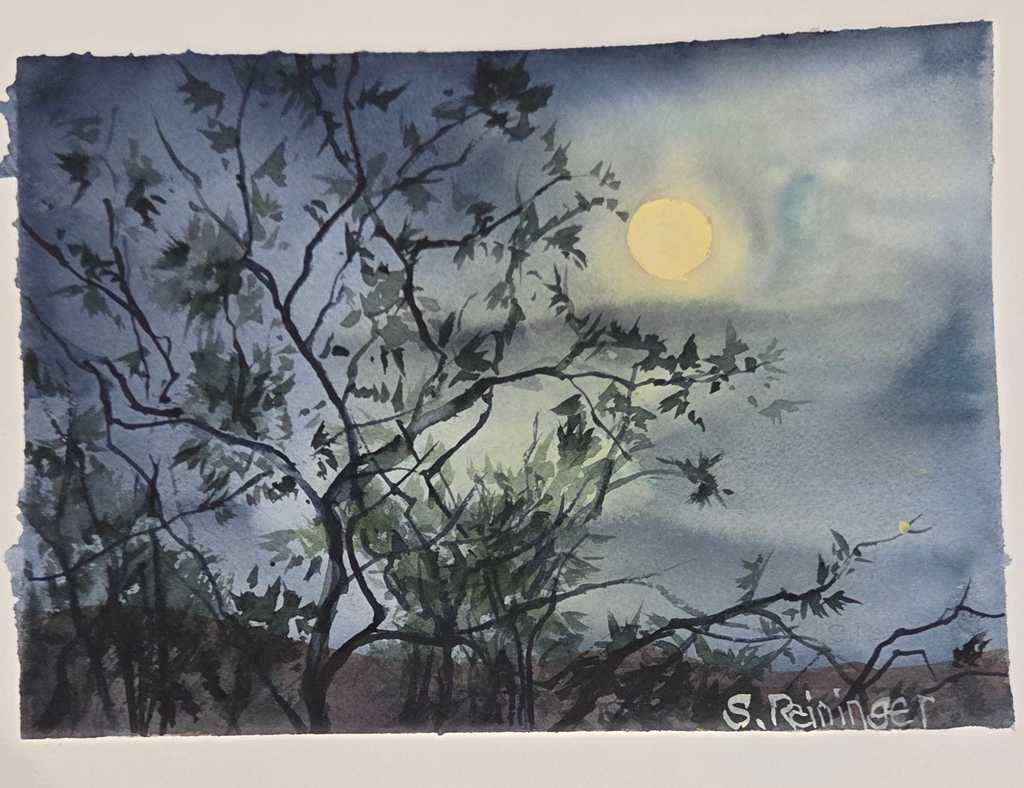 Moonlight Over Mesquite - Stephanie Reininger