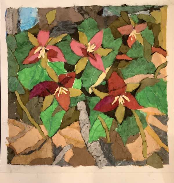 Forest Floor Series: Trillium