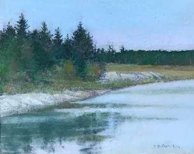 Seal Cove - Jane Ashley